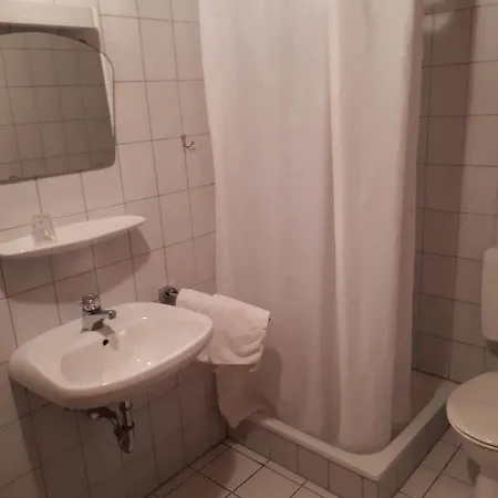 Мини-отель Gastehaus Speth Wackernheim